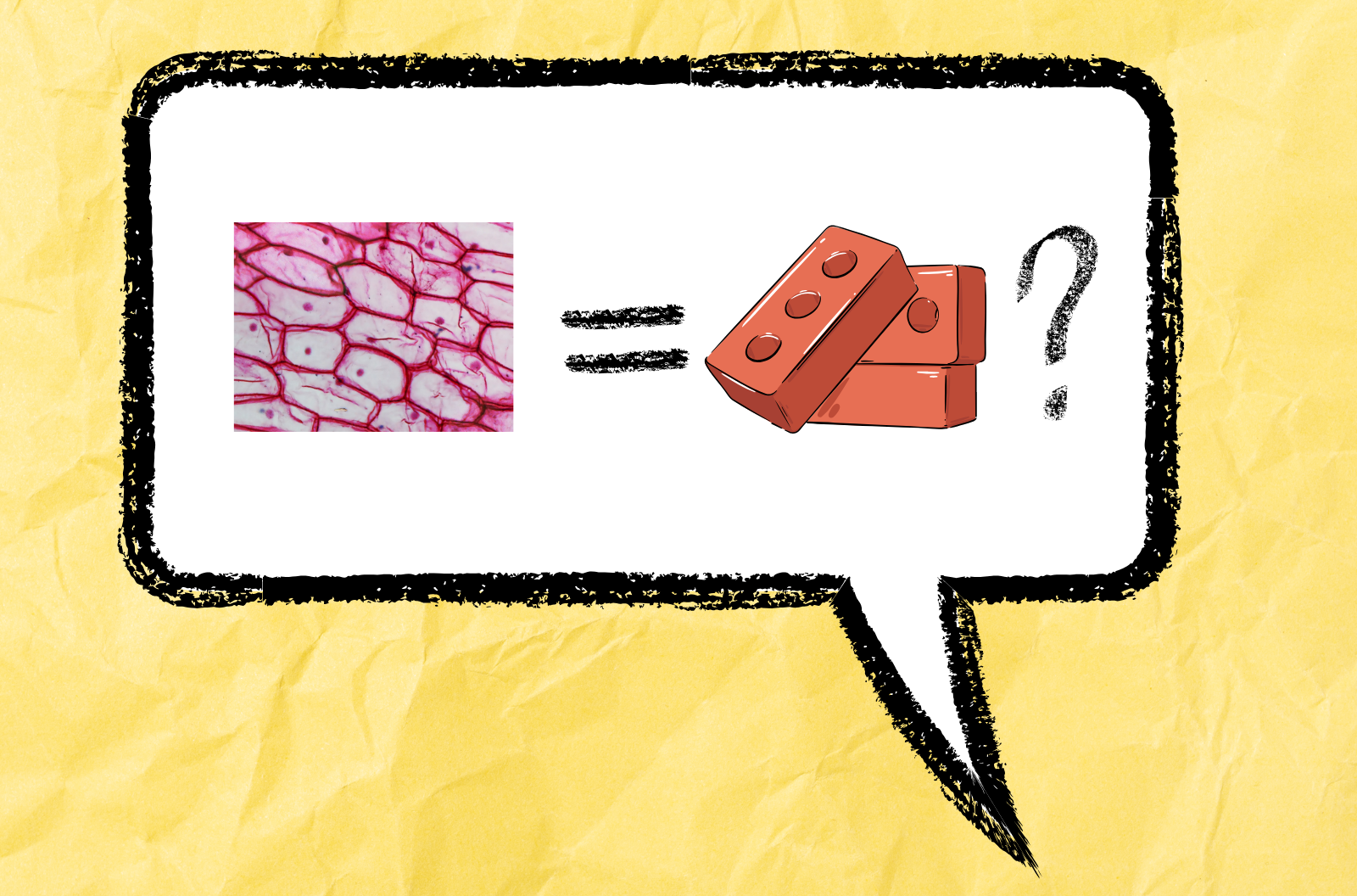 A speech bubble has a picture of cells next to an equal sign, and on the other side of the equal sign is an illustration of a pile of bricks and a question mark.