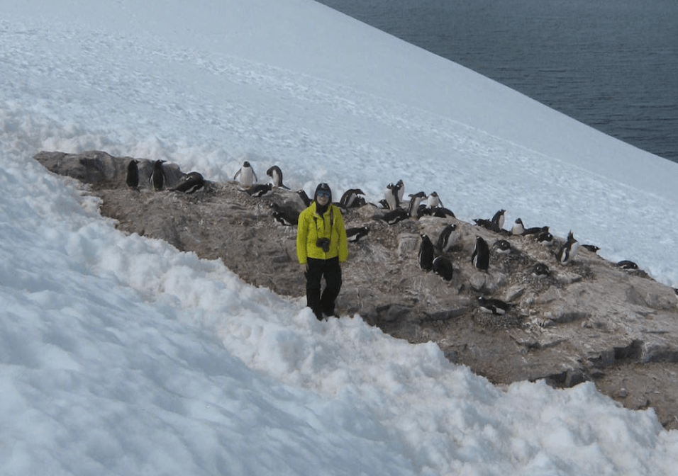 A person wearing a yellow coat stands on a snowy cliff with a group of penguins standing on a rock.