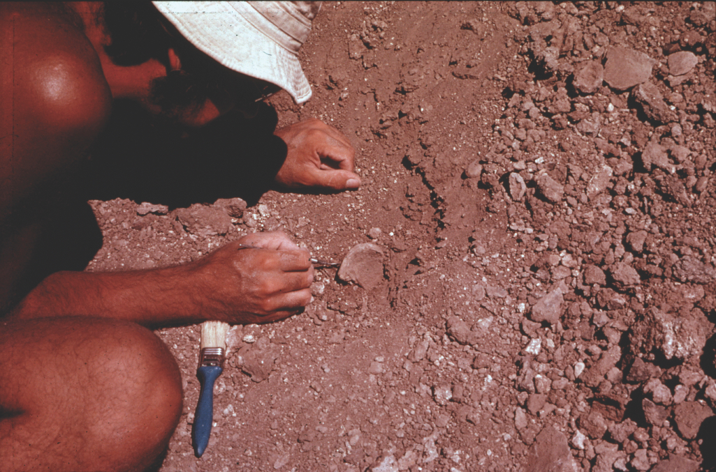 A man excavating a skeleton out of sediment