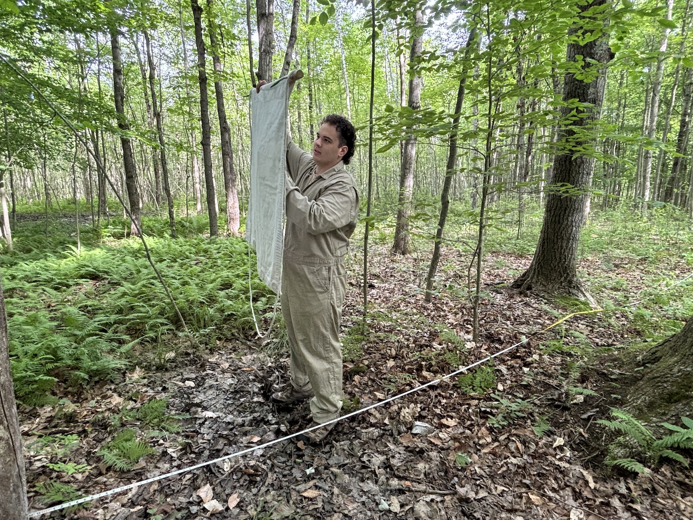 A man holding a stick with a cloth attached to it in a dense, lush forest.