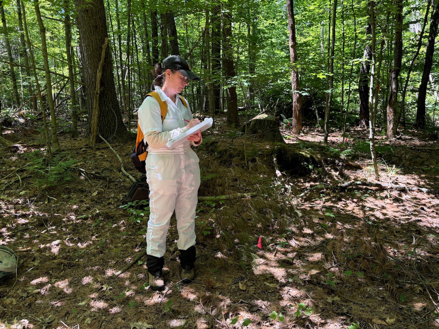 A woman standing in a forest taking notes in a notebook