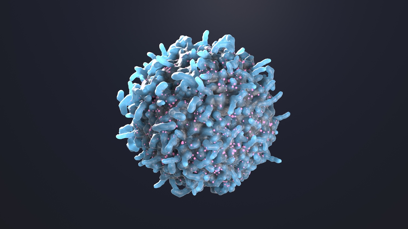 3d rendering of a immune cell, t cell, lymphocyte