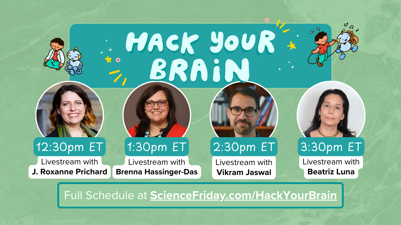 A promotional image with a textured green background and a title that reads "Hack Your Brain." On wither side are cartoon-like illustrations of a young person and a robot. There are four photos of scientists. Below each is a time and name: 12:30 pm ET livestream with J Roxanne Pritchard, 1:30 pm ET livestream with Brenna Hassinger-Das, 2:30 pm ET livestream with Vikram Jaswal, and 3:30 pm ET livestream with Beatriz Luna. A line on the bottom reads "Full schedule at ScienceFriday.com/HackYourBrain."