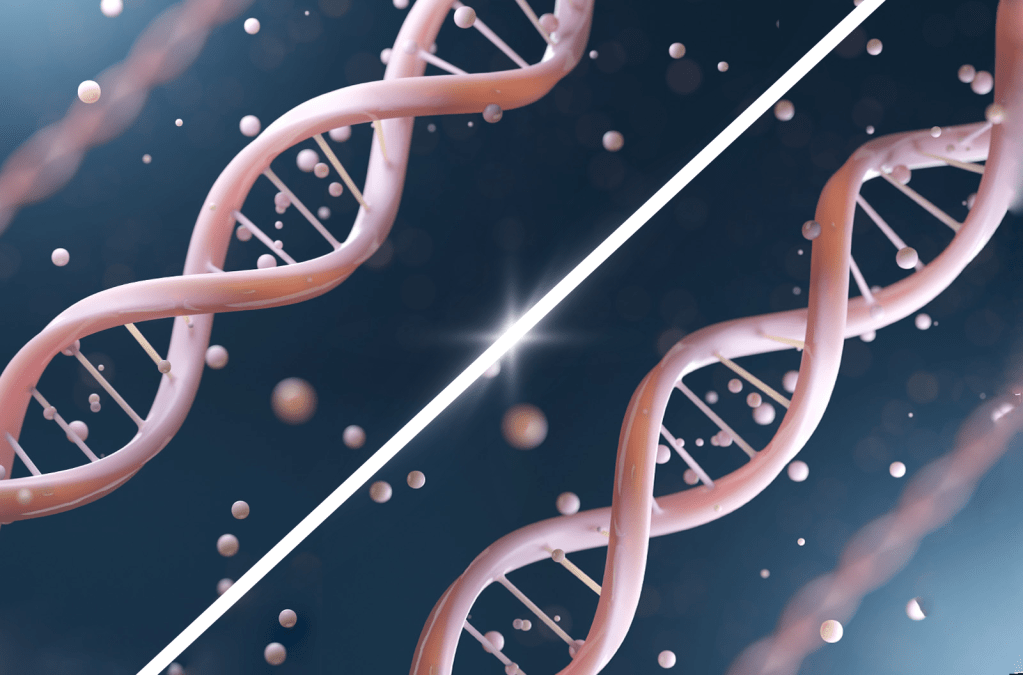 two strands of DNA, one is a mirror image of the other